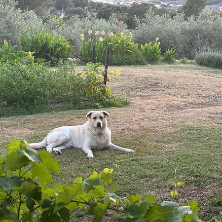 Montánchez Casa Rural La Recuera מראה חיצוני תמונה
