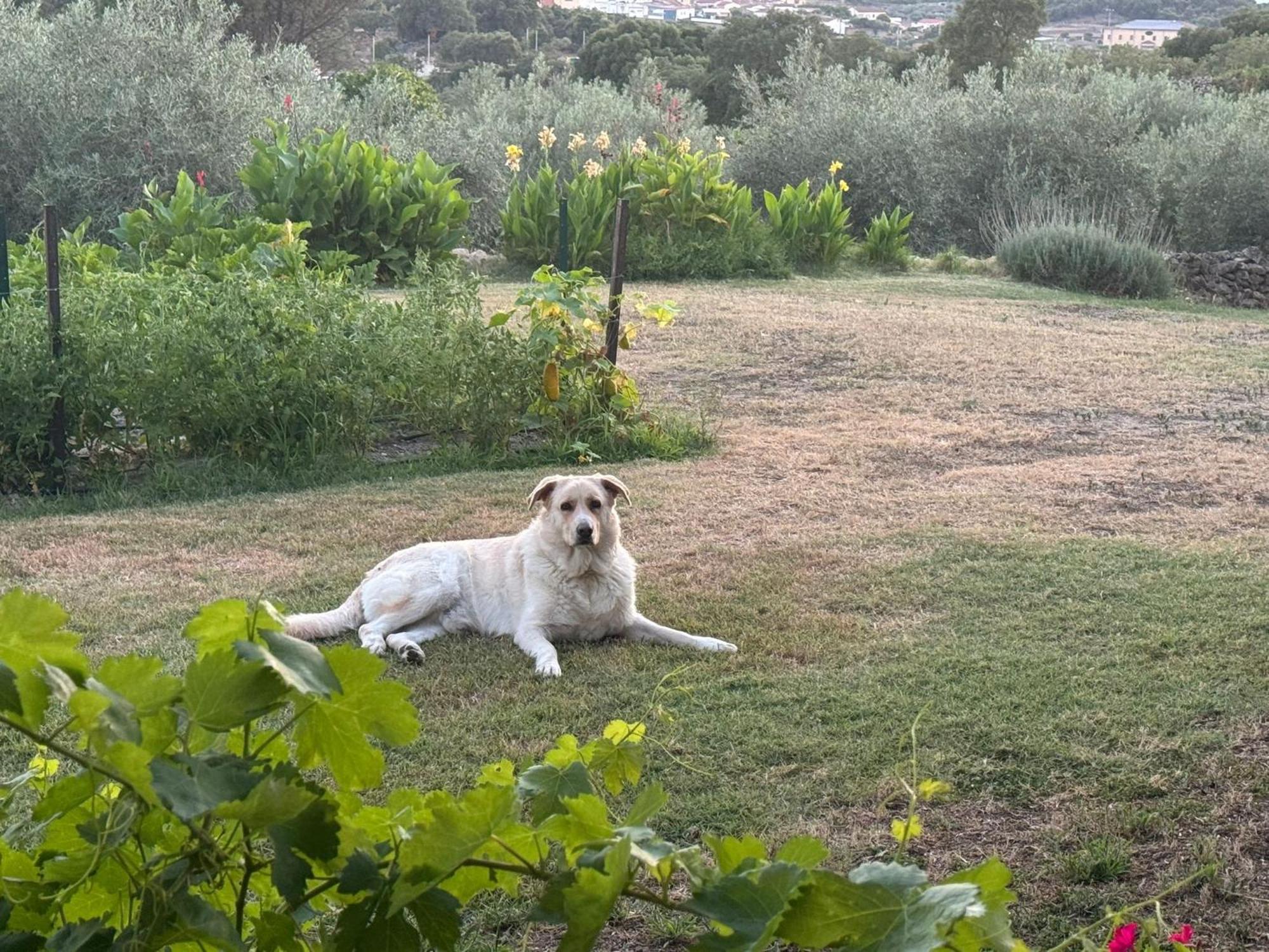 Montánchez Casa Rural La Recuera מראה חיצוני תמונה