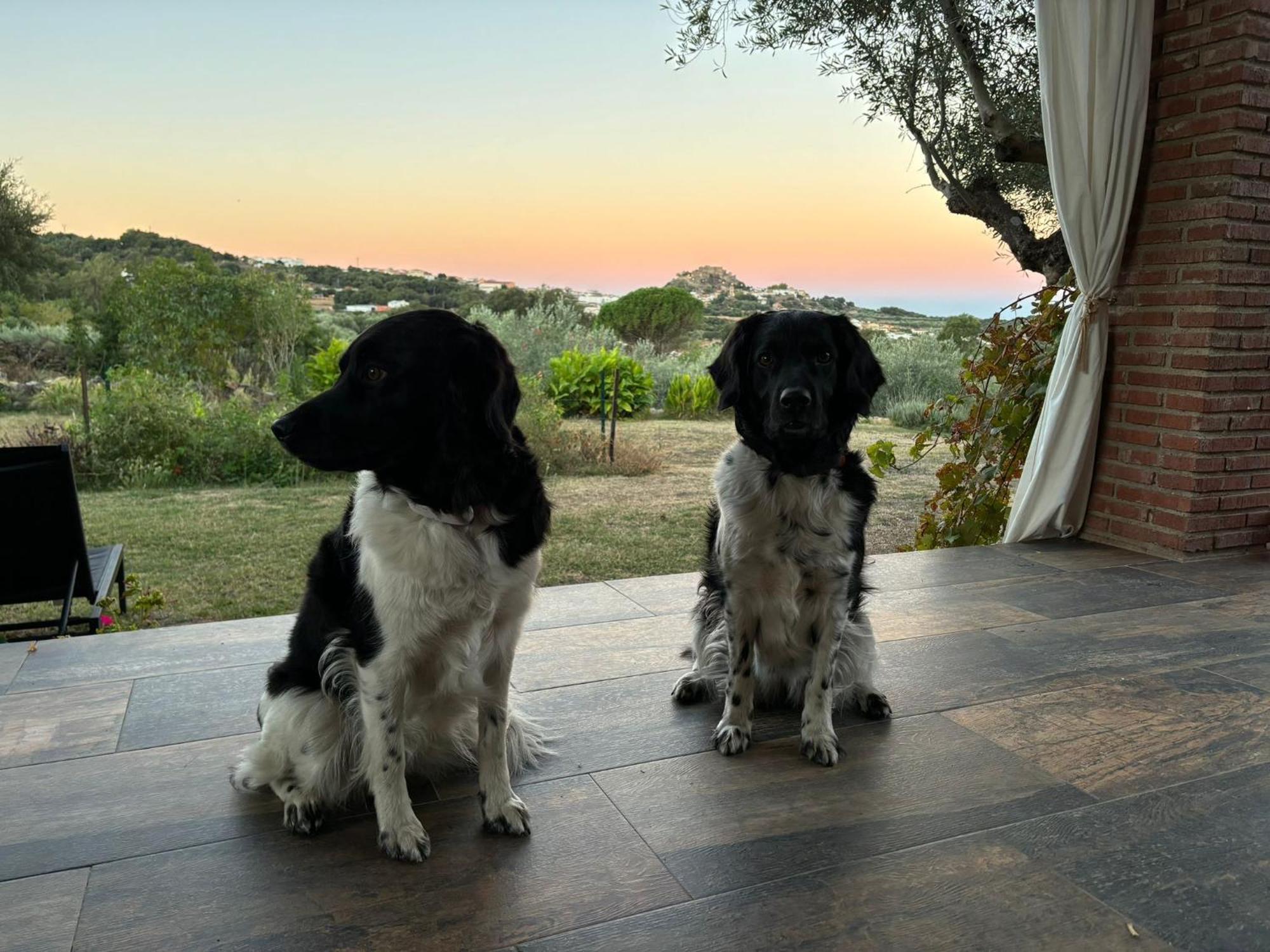 Montánchez Casa Rural La Recuera מראה חיצוני תמונה