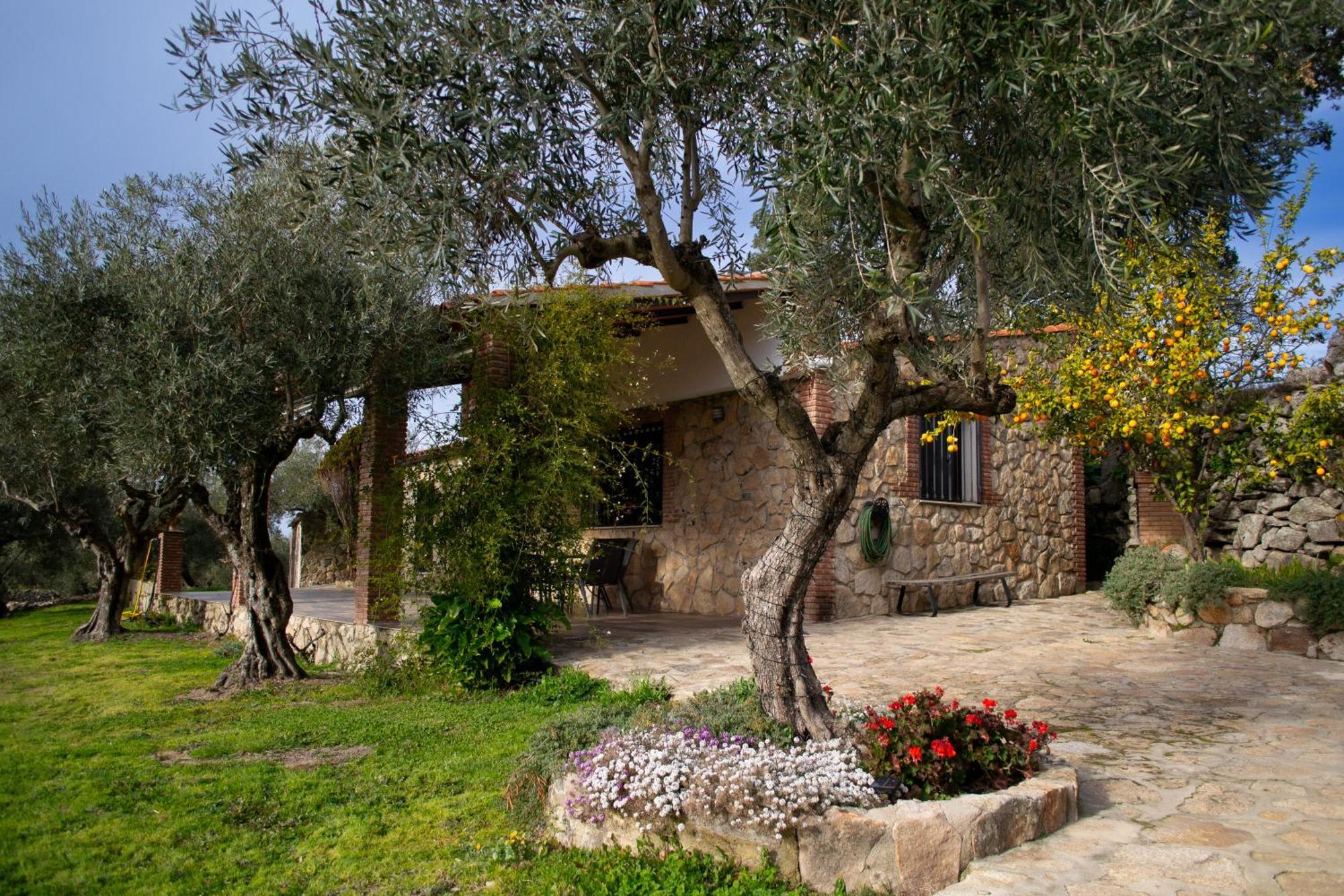 Montánchez Casa Rural La Recuera מראה חיצוני תמונה